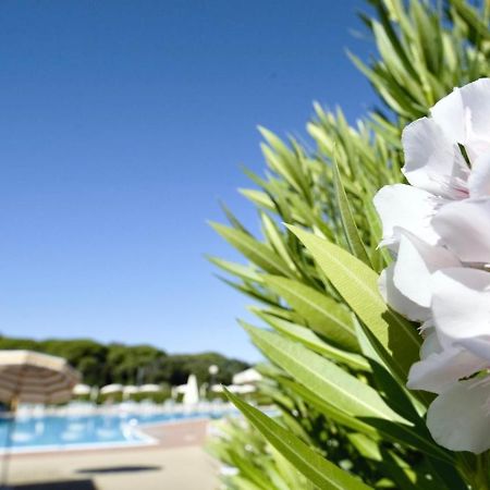 Isa-Apartments 4 Beds In Residence With Swimming-Pool In San Vincenzo, Just 600 Meters From The Sea Esterno foto