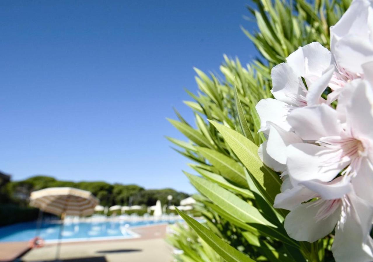 Isa-Apartments 4 Beds In Residence With Swimming-Pool In San Vincenzo, Just 600 Meters From The Sea Esterno foto